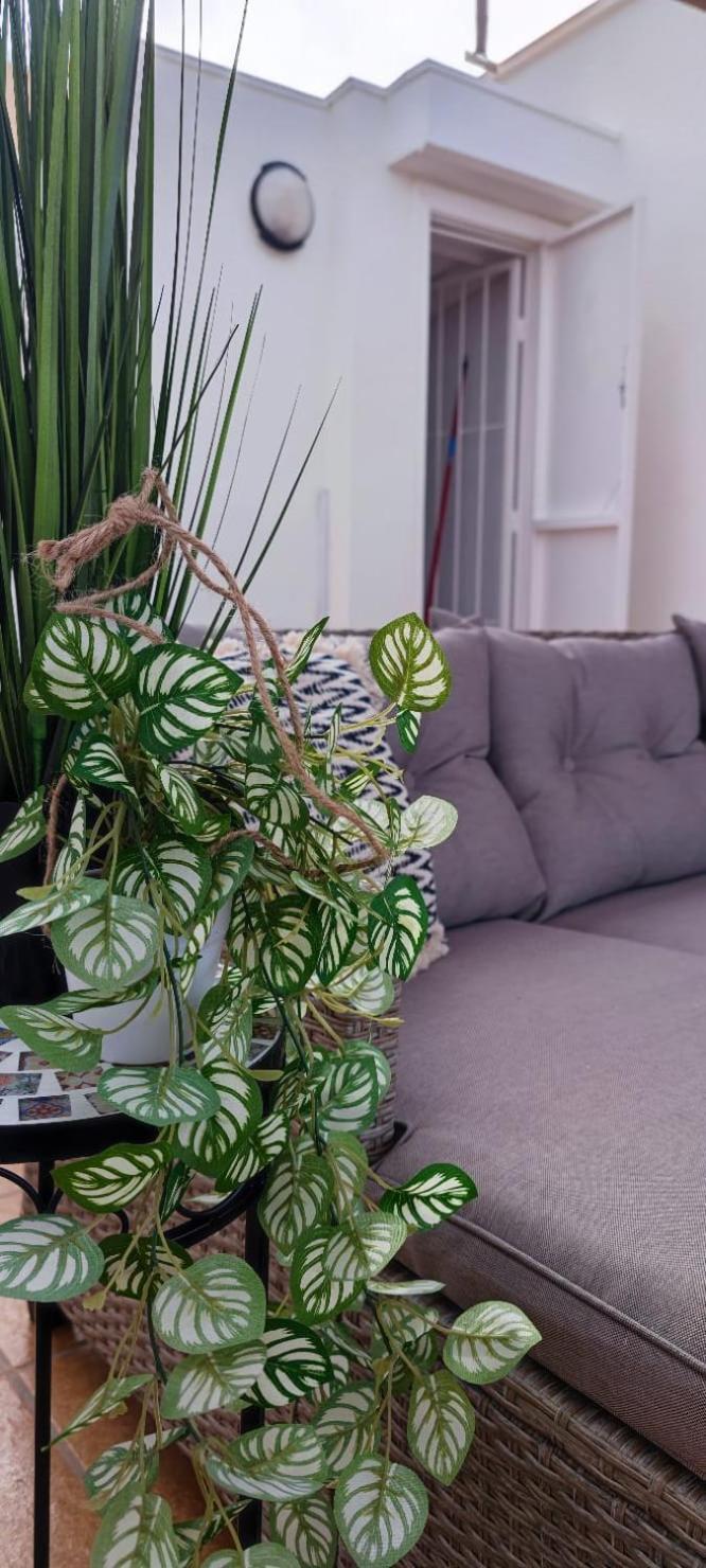 Apartamento Casa De Alba Cabo Cervera La Mata Torrevieja Zewnętrze zdjęcie