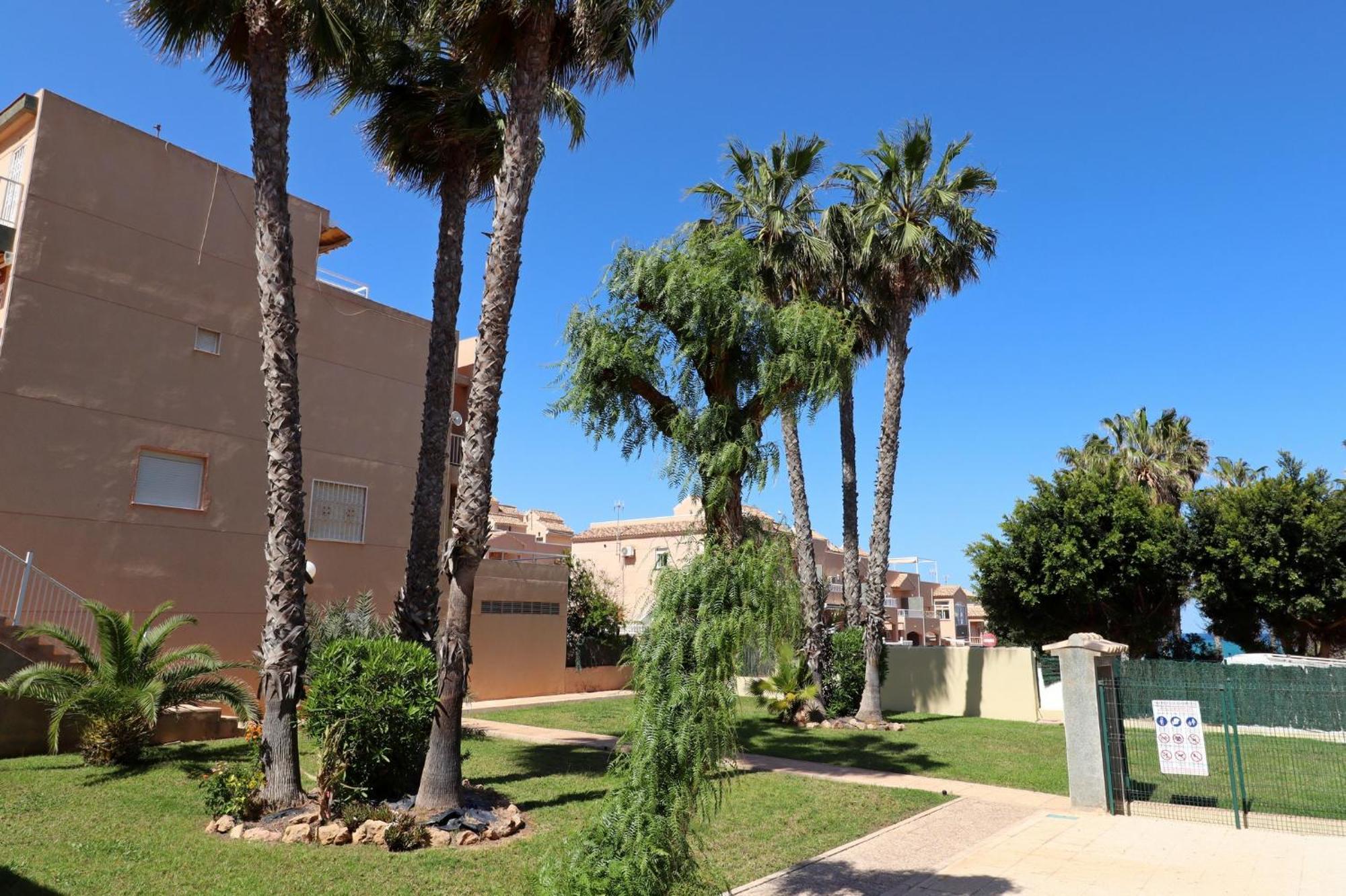 Apartamento Casa De Alba Cabo Cervera La Mata Torrevieja Zewnętrze zdjęcie